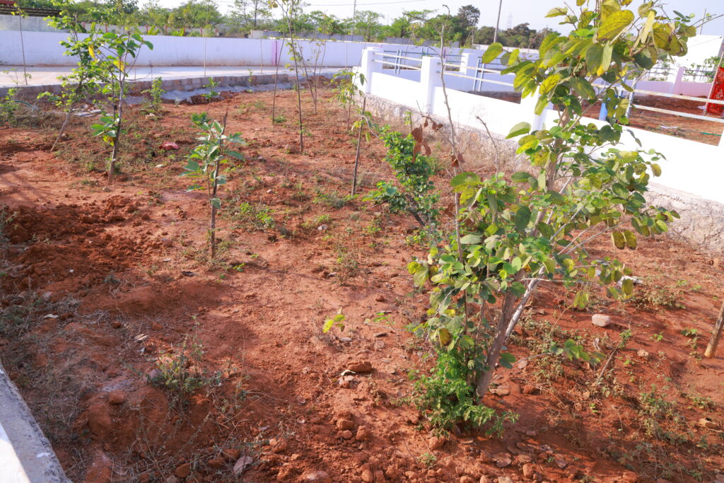 HMDA & RERA images